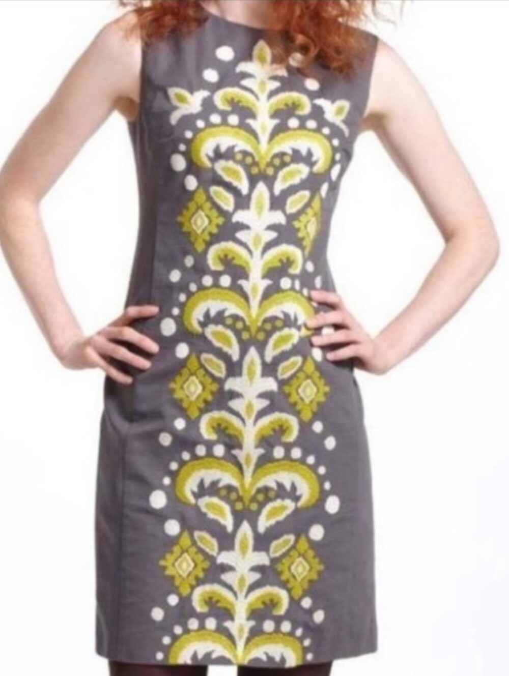 Anthropologie Tabitha Embroidered Dress | Floral Boho Fit & Flare Midi